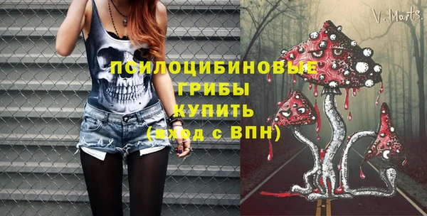 винт Арсеньев