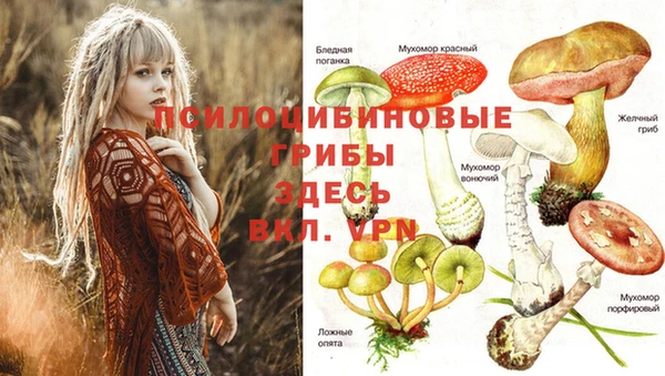 винт Арсеньев