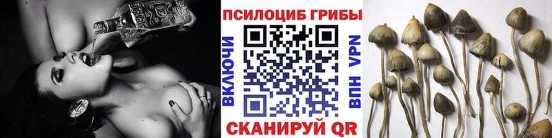 Псилоцибиновые грибы MAGIC MUSHROOMS  Родники 